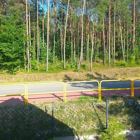 Sosenka - Z Balia * Gowidlino