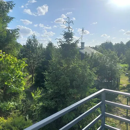Sosenka - Z Balia *