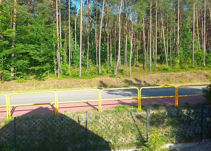 Sosenka - Z Balia * Gowidlino