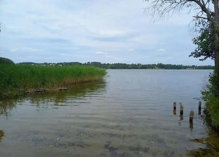 Apartamento Sosenka - Z Balia *